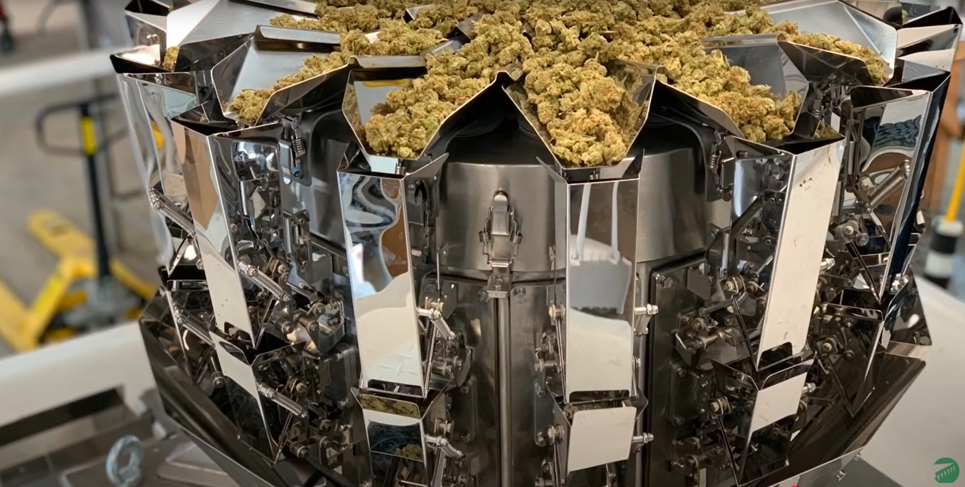 Cannabis Packaging Solutions