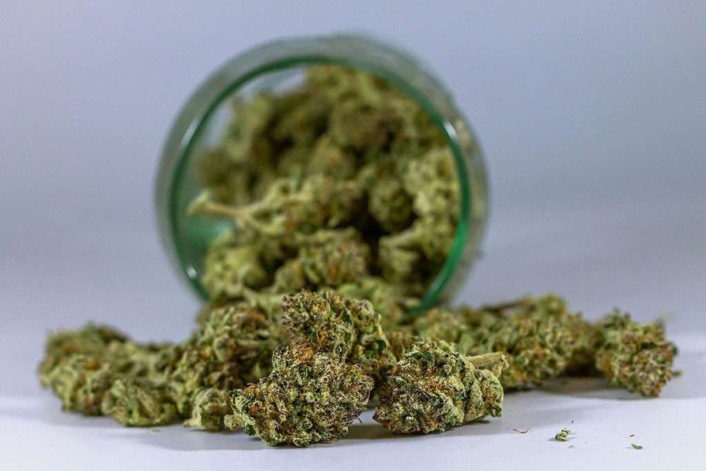 Cannabis Packaging & Labeling