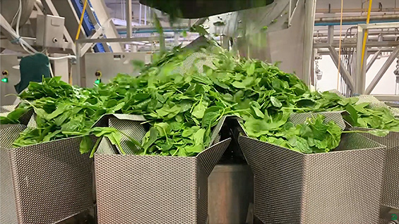 High-Tek-multi-head-combination-food-weiger